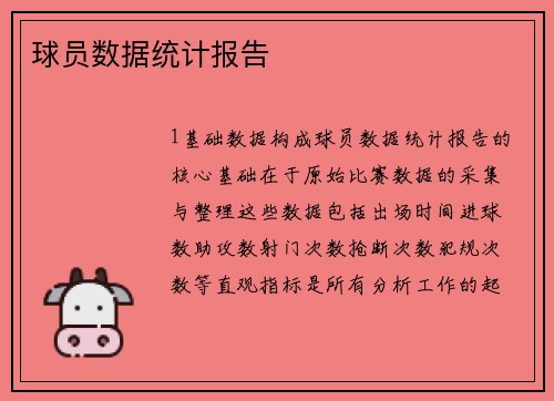 球员数据统计报告