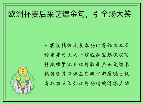 欧洲杯赛后采访爆金句，引全场大笑